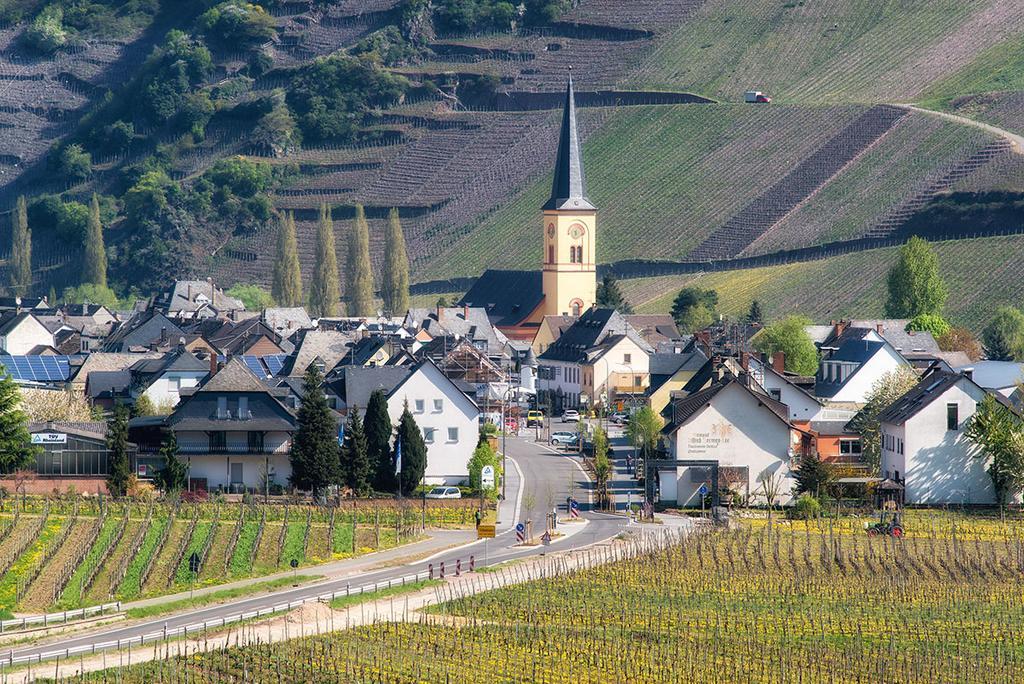 Weingut & Gaestehaus Edwin Hoffmann Apartment Trittenheim Exterior photo