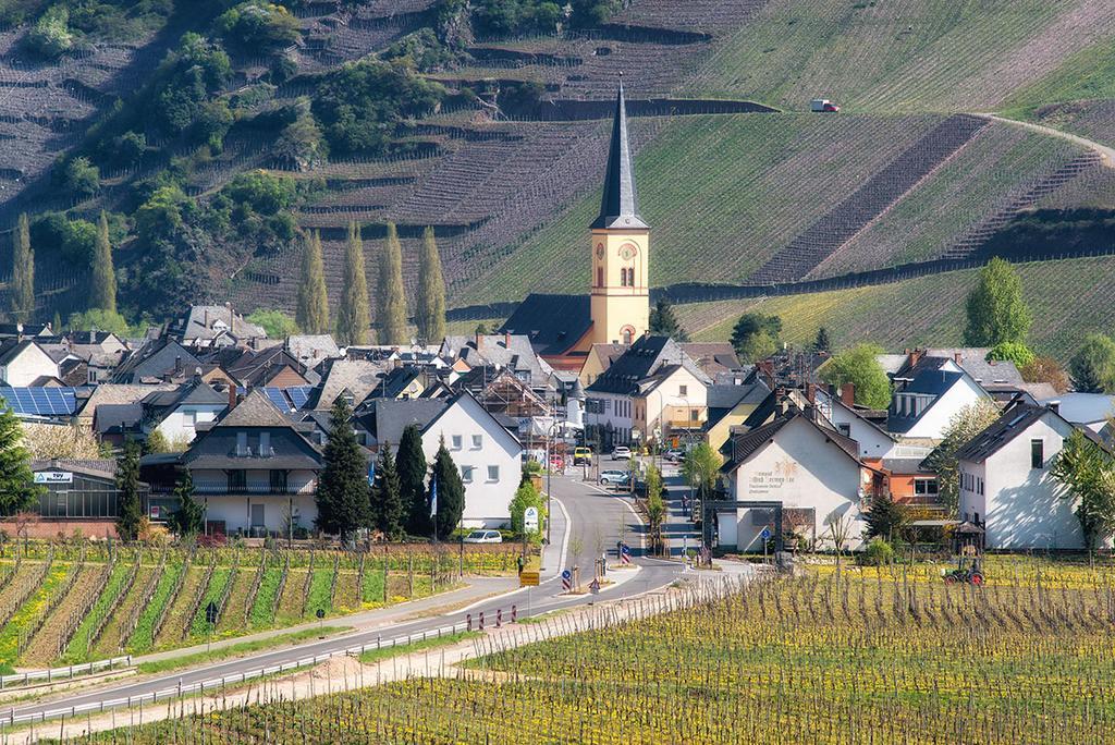 Weingut & Gaestehaus Edwin Hoffmann Trittenheim Exterior photo